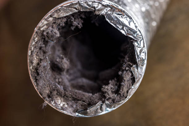 Best Best Air Duct Cleaning Near Me  in Ripley, TN