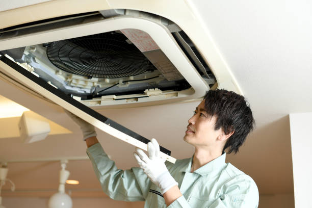 Air Duct Mold Removal in Ripley, TN