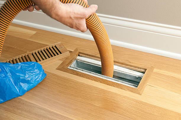 Best Air Duct Cleaning Near Me  in Ripley, TN