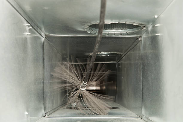 Best Ductwork Cleaning Services  in Ripley, TN