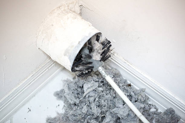 Best Local Air Duct Cleaning Services  in Ripley, TN